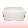 caja de carton blanco para envios