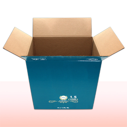 caja de carton impresa con solapas