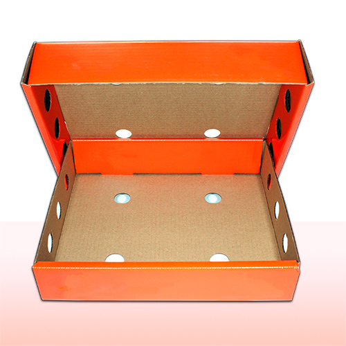caja de carton corrugado sencillo con solapas