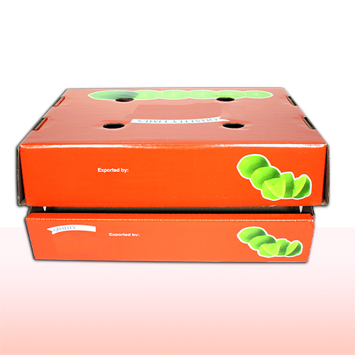 caja de carton corrugado sencillo con solapas