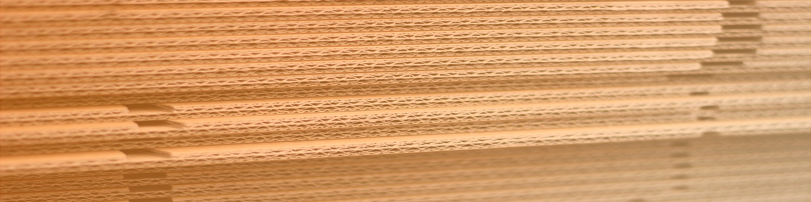 fondo-carton1600x400px Caja de cartón blanca